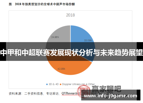 中甲和中超联赛发展现状分析与未来趋势展望