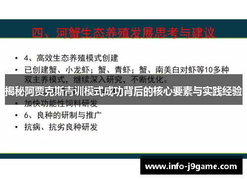 揭秘阿贾克斯青训模式成功背后的核心要素与实践经验