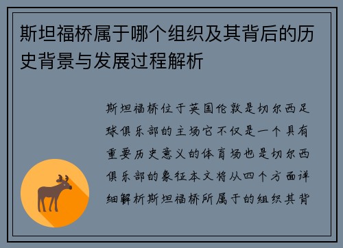 斯坦福桥属于哪个组织及其背后的历史背景与发展过程解析